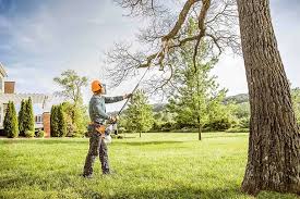 How Our Tree Care Process Works  in  Braddock Hills, PA